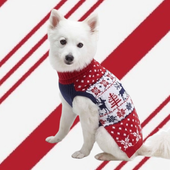 🐾Pet Holiday Family Matching Sweater in Tango Red, NWT - Picture 2 of 7